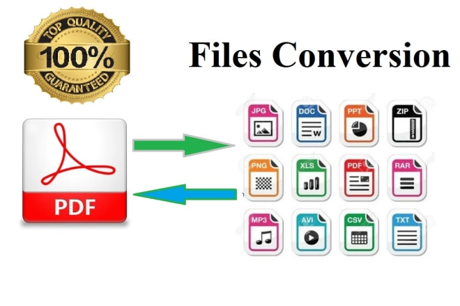 I will word processing, file conversion, word document, pdf conversion,pdf file
