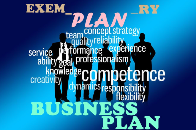 I will write a detailed investors business plan