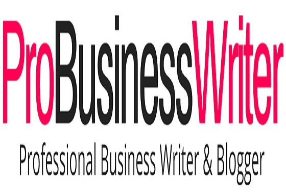 I will write an ebook among other business write ups