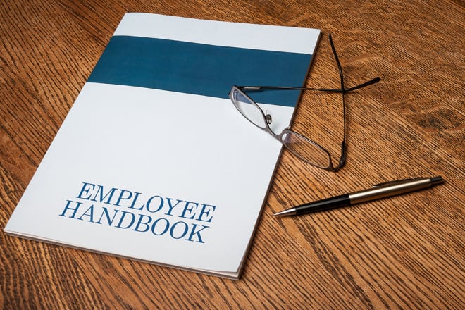 I will write employee handbook, business sop, HR policies, job descriptions and KPI