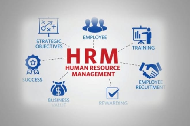 I will write human resource management reports,article and summary