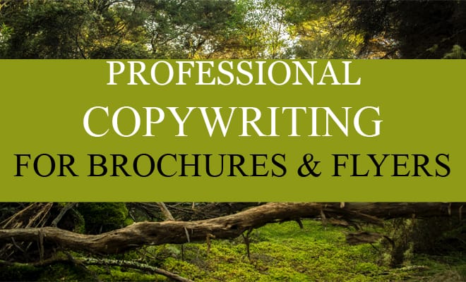 I will write sales copywriting for online marketing content, product brochure
