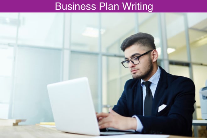 I will write you an incredible startup business plan for investment