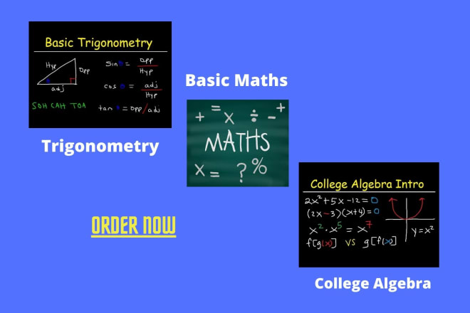 I will assist you in college algebra trigonometry and basic mathematics