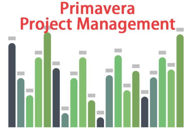 I will assist you project schedule on primavera or ms project