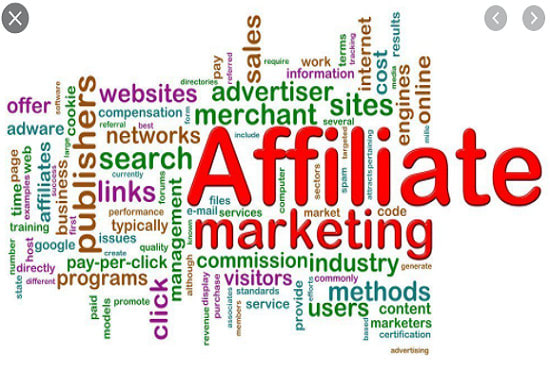 I will build affiliate marketing website, sales funnel for your affiliate program