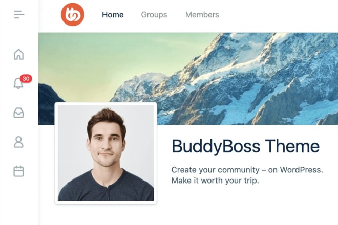 I will build buddyboss website for learning communities