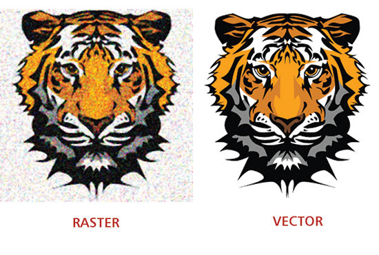 I will convert any jpeg, png, sketch and logo to vector