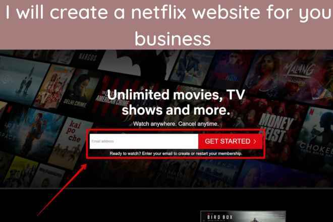 I will create a netflix website for your business