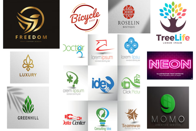 I will create a professional logo design for your business