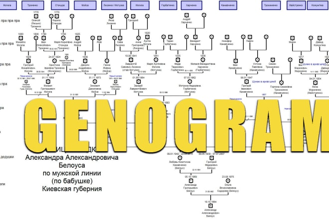 I will create genogram or family tree or pedigree