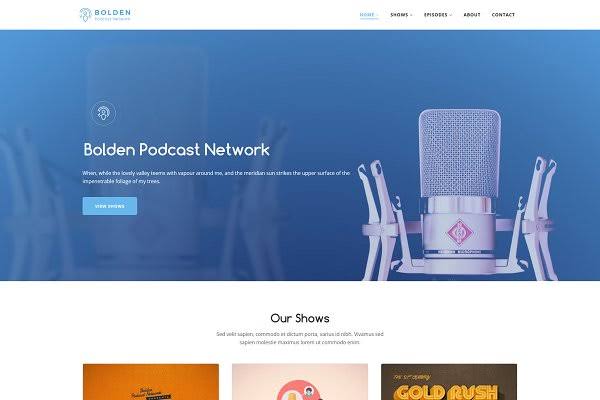 I will create podcast audio and music download wordpress website