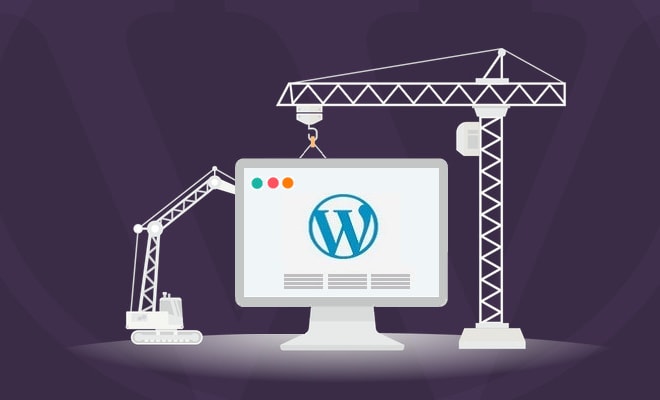 I will create wordpress or any kind cms website for your business