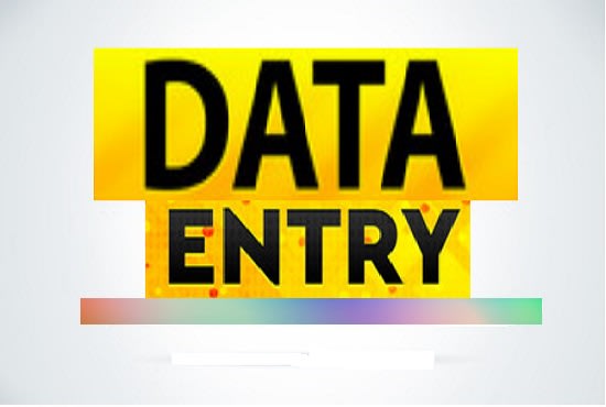 I will data enrichment,data append,data encoder,website data entry,basic data entry