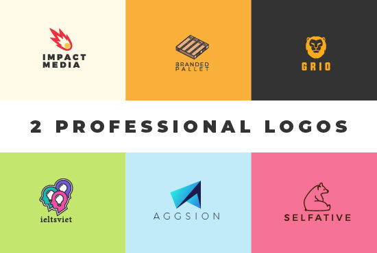 I will design 2 professional logo