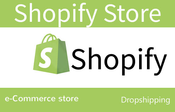 I will design an expert level shopify store for your business