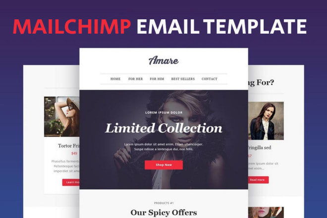 I will design responsive mailchimp email template or newsletter