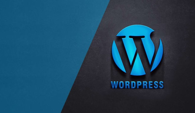 I will design wordpress website in low cost with professional work