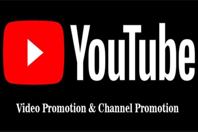 I will do an organic promotion to your youtube video and make it viral