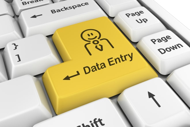 I will do any kind of data entry work