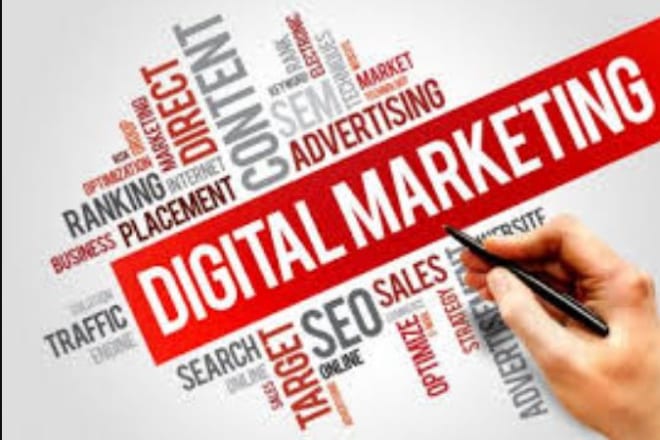 I will do enormous standard digital marketing promotion for your website and HQ traffic