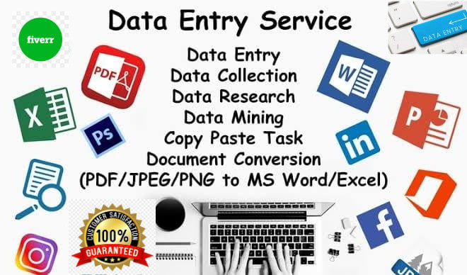 I will do excel and word data entry and web research, typing job