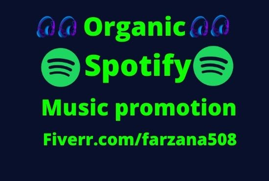 I will do organic spotify promotion worldwide for your track