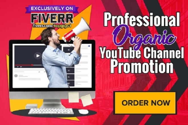 I will do professional and organic top youtube channel promotion