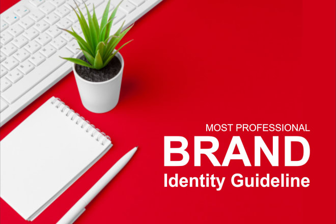 I will do professional brand identity guideline
