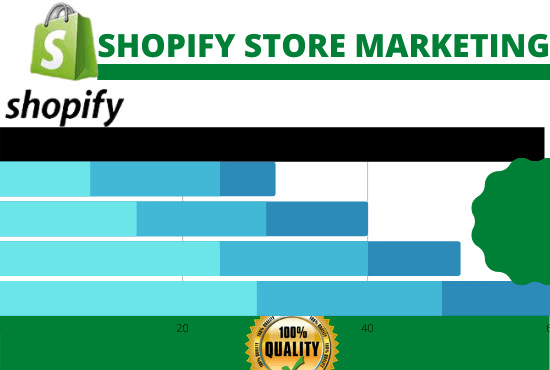 I will do shopify marketing promotion sales traffic facebook ads and sales funnel