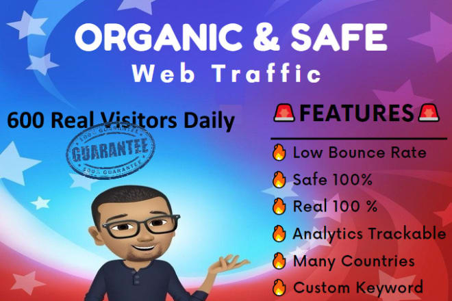 I will drive real organic traffic to your website