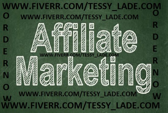 I will drive traffic to affiliate link clickbank,amazon and affiliate marketing to USA