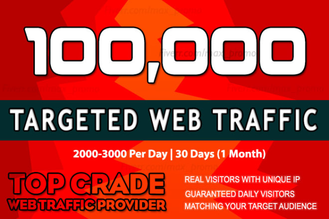 I will drive USA organic keyword targeted web traffic real visitors
