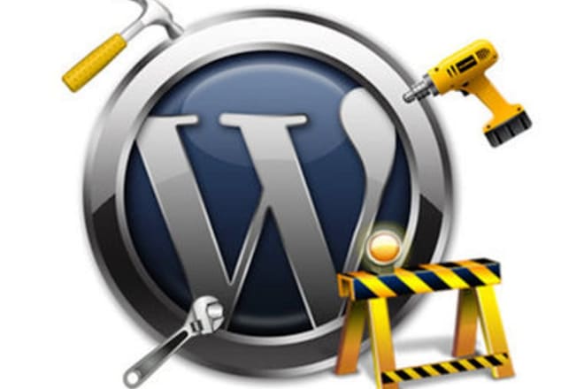 I will fix wordpress issue or answer question