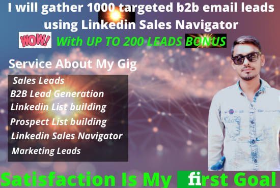 I will gather 1k targeted b2b email leads using linkedin sales navigator