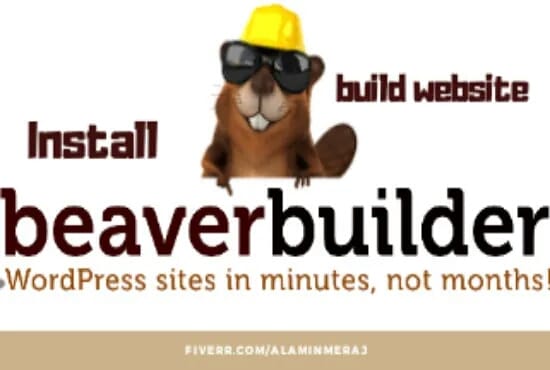 I will install beaver builder pro or be your beaver builder expert