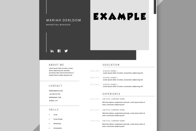 I will make professional cv, resume and portfolio design