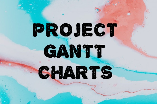 I will make project gantt charts