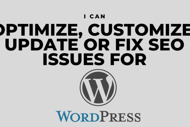 I will optimize, customize, update or fix SEO issues for wordpress
