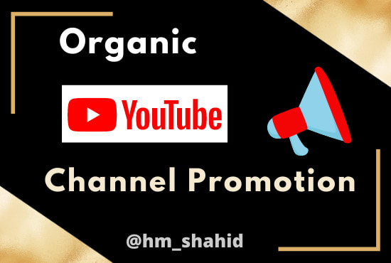 I will organic youtube channel promotion video marketing