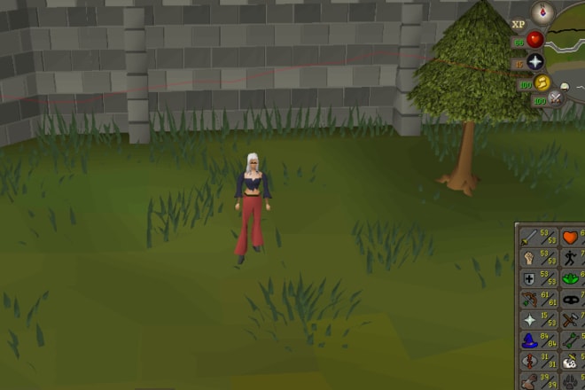 I will play old school runescape with you