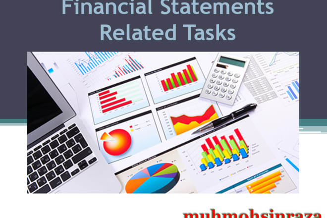 I will prepare financial statement, profit and loss and projections