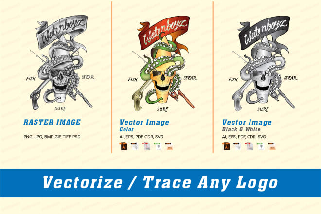 I will professionally vectorize, trace raster logo, convert to vector within 12 hours