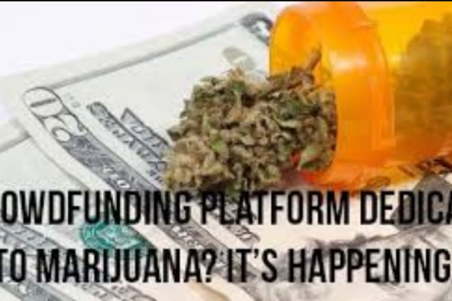 I will promote cbd hemp oil crowdfunding campaign marketing patreon pages