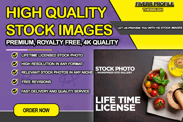 I will provide HD royalty free premium stock photo image for business website in design