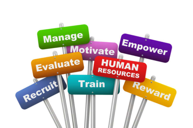 I will provide recruiting and HR services for your business