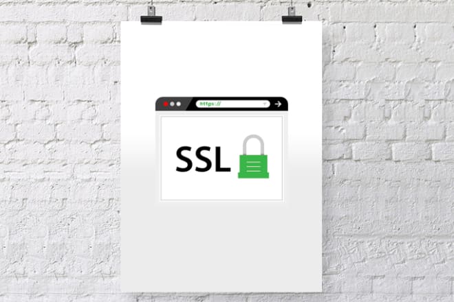 I will provide SSL https setup service