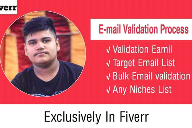I will verify and clean your bulk email validation list and email validation