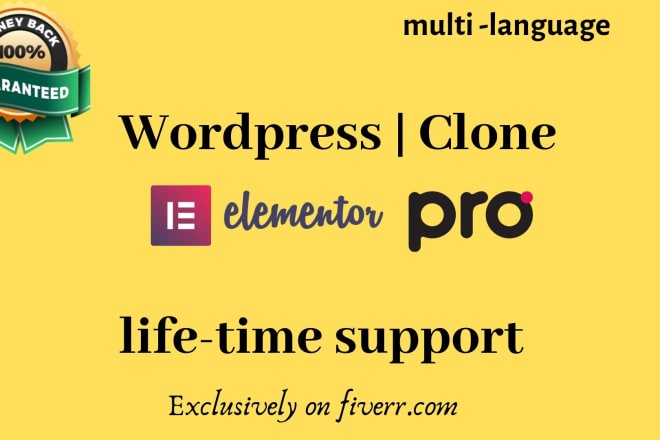 I will wordpress website design, clone, psd using elementor pro