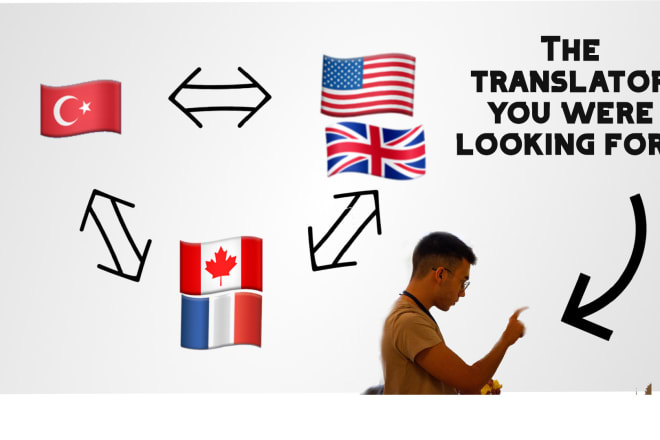 I will accurately translate from turkish, english, french to turkish, english or french